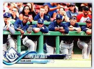 Tampa Bay Rays