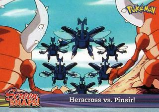Heracross vs. Pinsir!