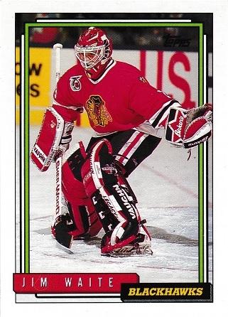 Jim Waite #100 Hockey Cards 1992 Topps