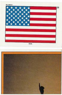 USA STICKER