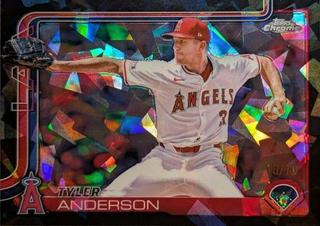 Tyler Anderson
