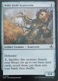 Wild-Field Scarecrow