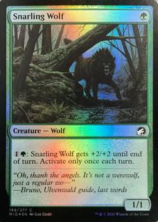 Snarling Wolf