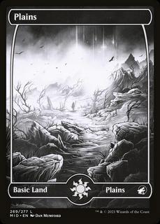 Plains