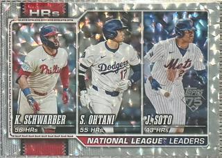 National League Leaders HRs