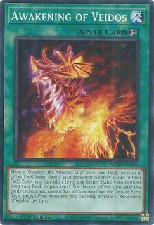 Awakening of Veidos MP25-EN336