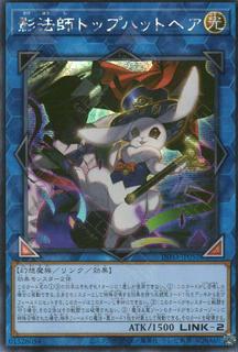 Silhouhatte Rabbit INFO-JP052