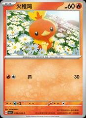 Torchic #36