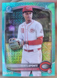 Liberts Aponte