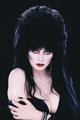 Elvira: The Shape Of Elvira [1:40 Photo Virgin] | Comic Books Elvira: The Shape of Elvira