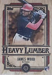 James Wood