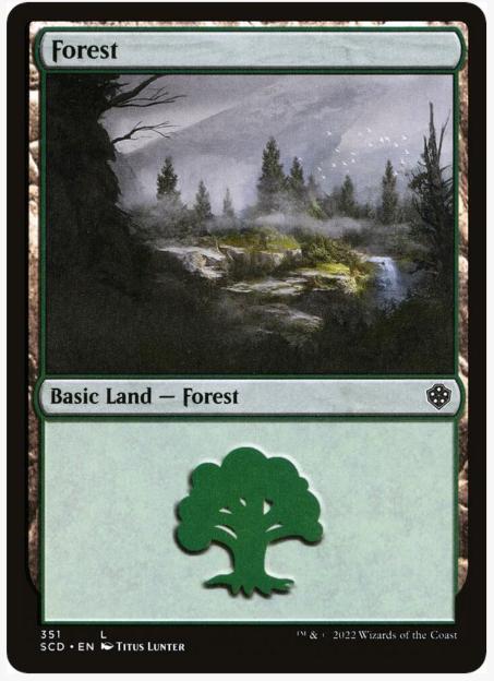 Forest #351