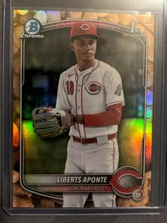 Liberts Aponte