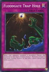Floodgate Trap Hole #SBC2-ENC19