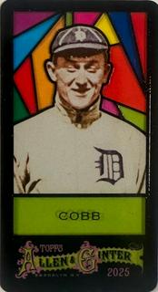 Ty Cobb