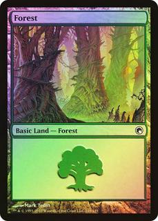 Forest