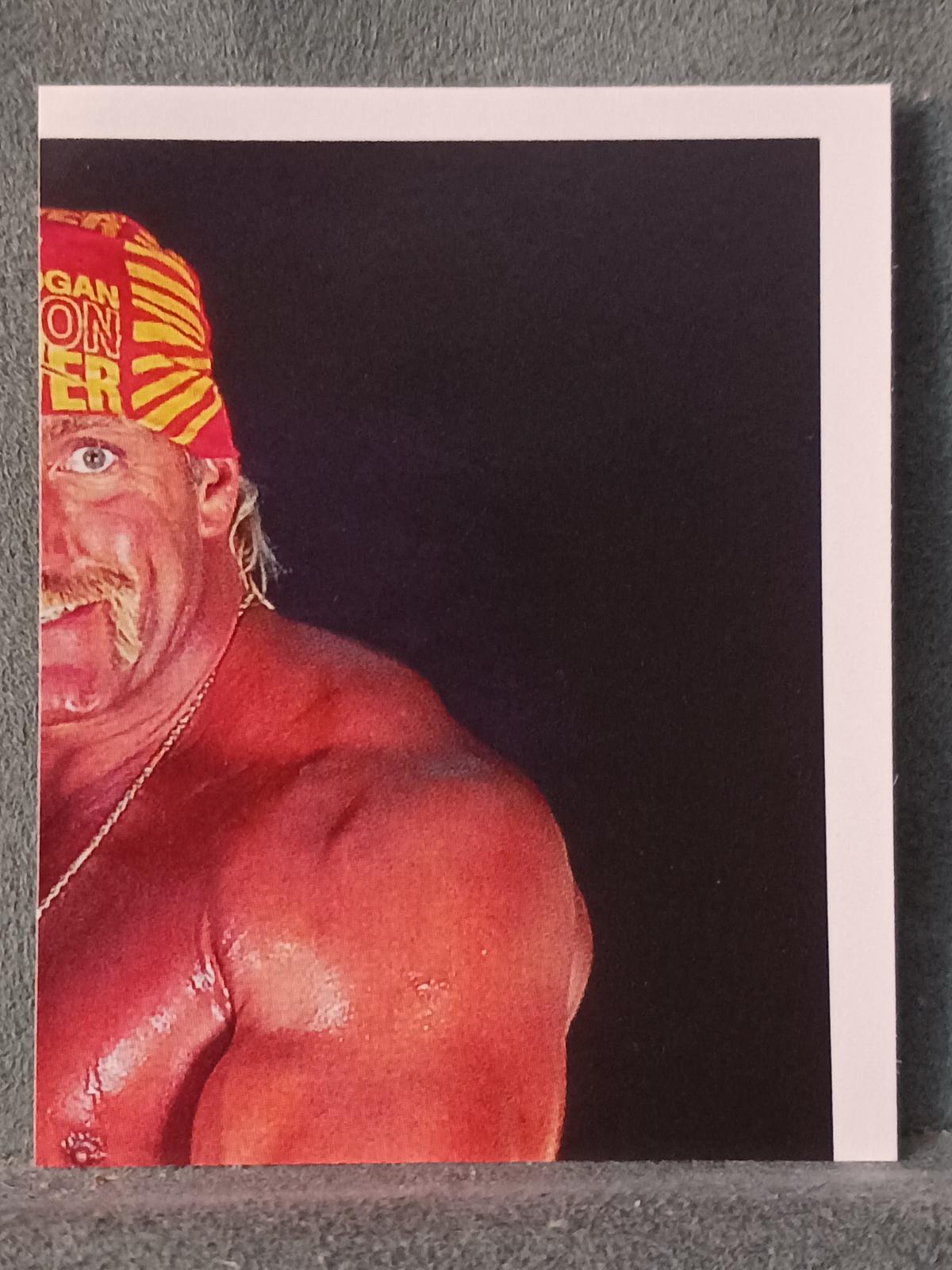Hulk Hogan #7 Wrestling Cards 1992 Merlin WWF Stickers