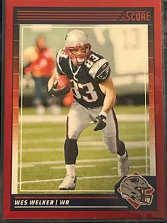 Wes Welker
