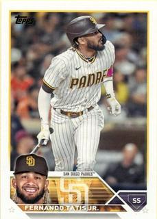 Fernando Tatis Jr.