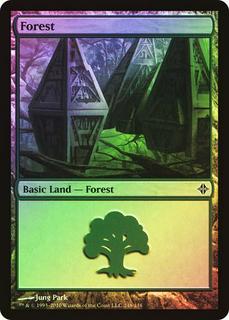 Forest