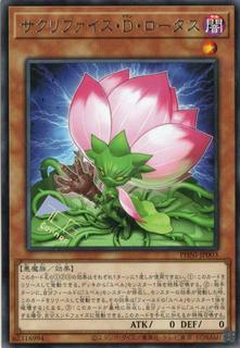 Samsara D Lotus PHNI-JP003