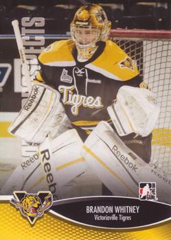 Brandon Whitney #114 2012 In The Game Heroes And Prospects Hockey