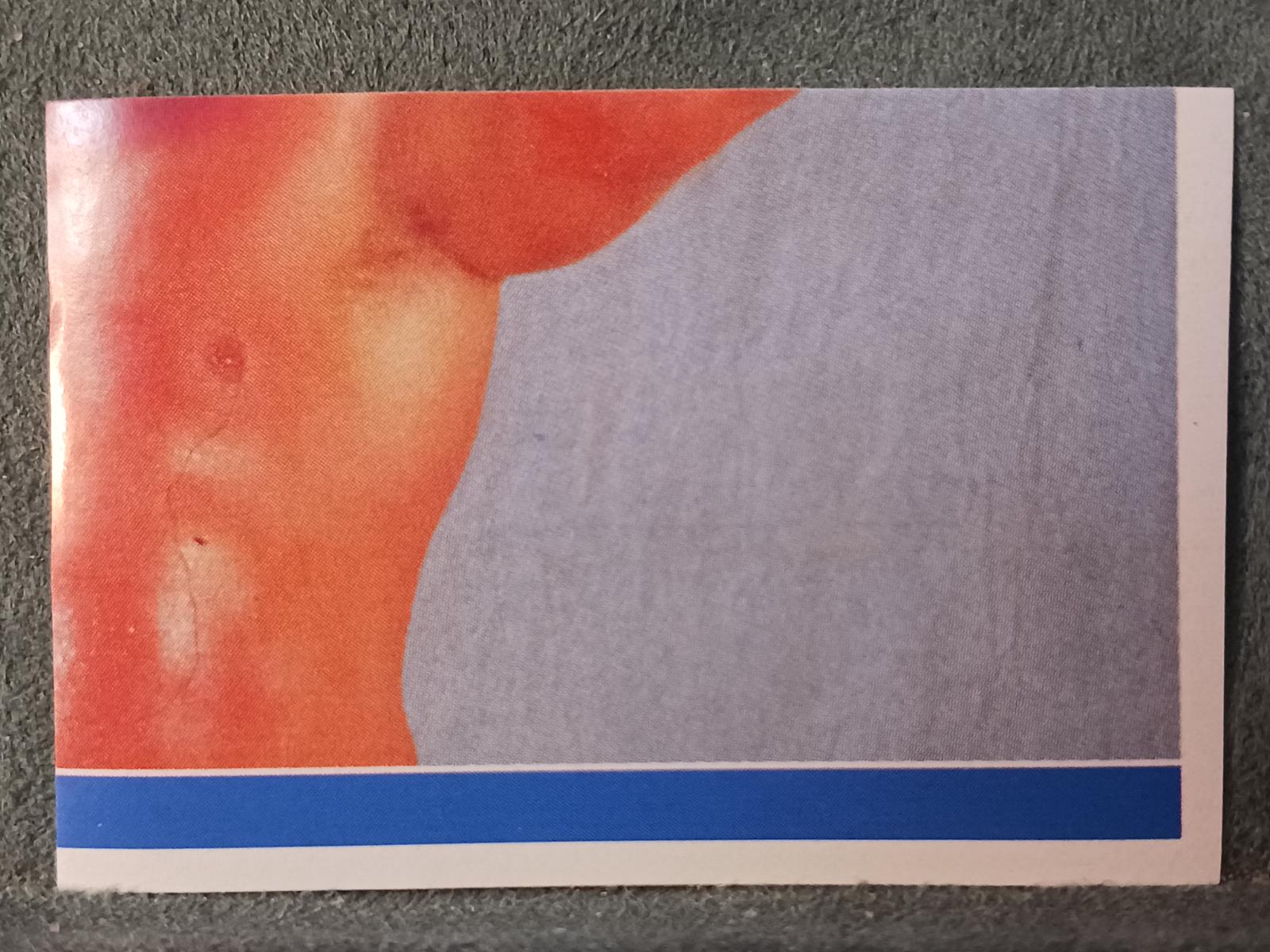 Hacksaw Jim Duggan #34 Wrestling Cards 1991 WWF Superstars Stickers