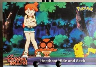 Hoothoot Saves the Day
