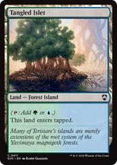 Tangled Islet #411