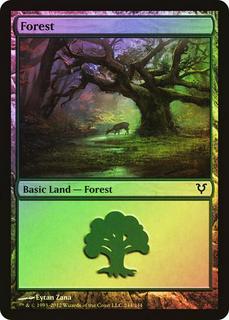 Forest