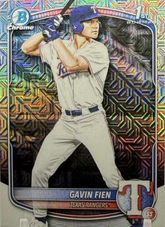 Gavin Fien