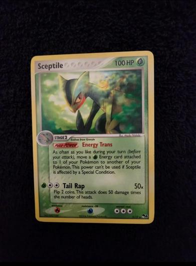 Sceptile #5 photo