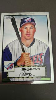 Tim Salmon