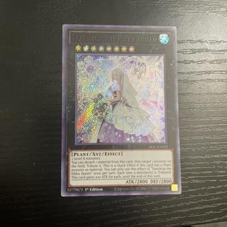 Teardrop The Rikka Queen SESL-EN022