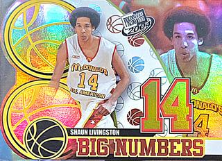 Shaun Livingston