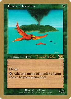 Birds Of Paradise