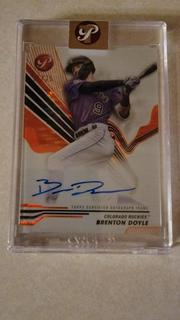 Brenton Doyle