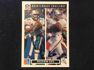 Dolphin Duo