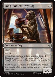 Long-Bodied Grey Dog