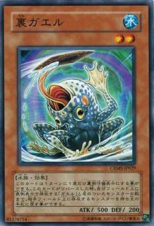 Flip Flop Frog CRMS-JP029