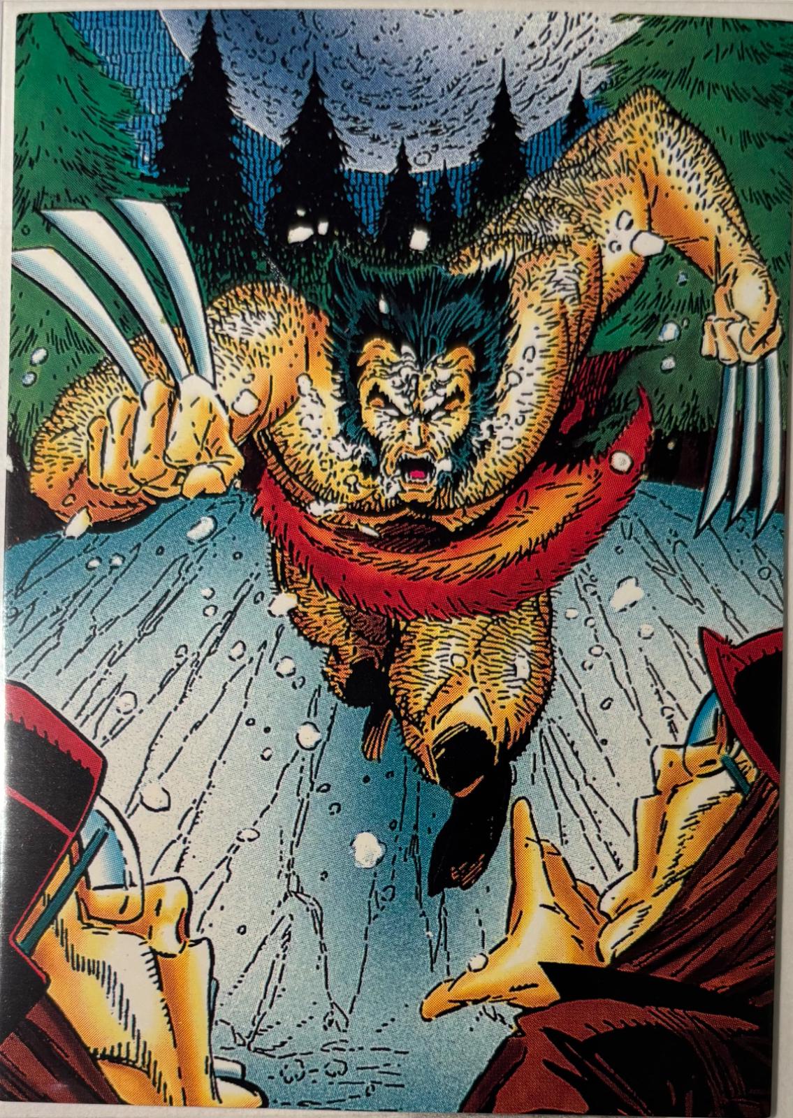 Animalistic #24 Marvel 1992 Comic Images Wolverine From Then 'Til Now II