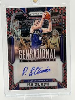 Peja Stojakovic