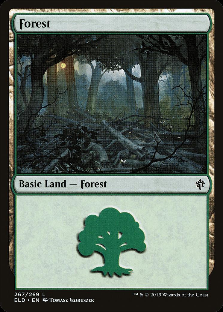 Forest #267 Magic Throne of Eldraine
