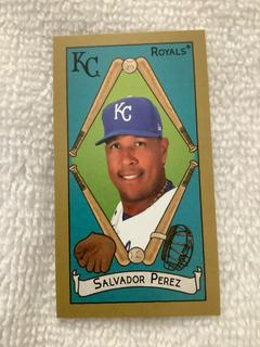 Salvador Perez