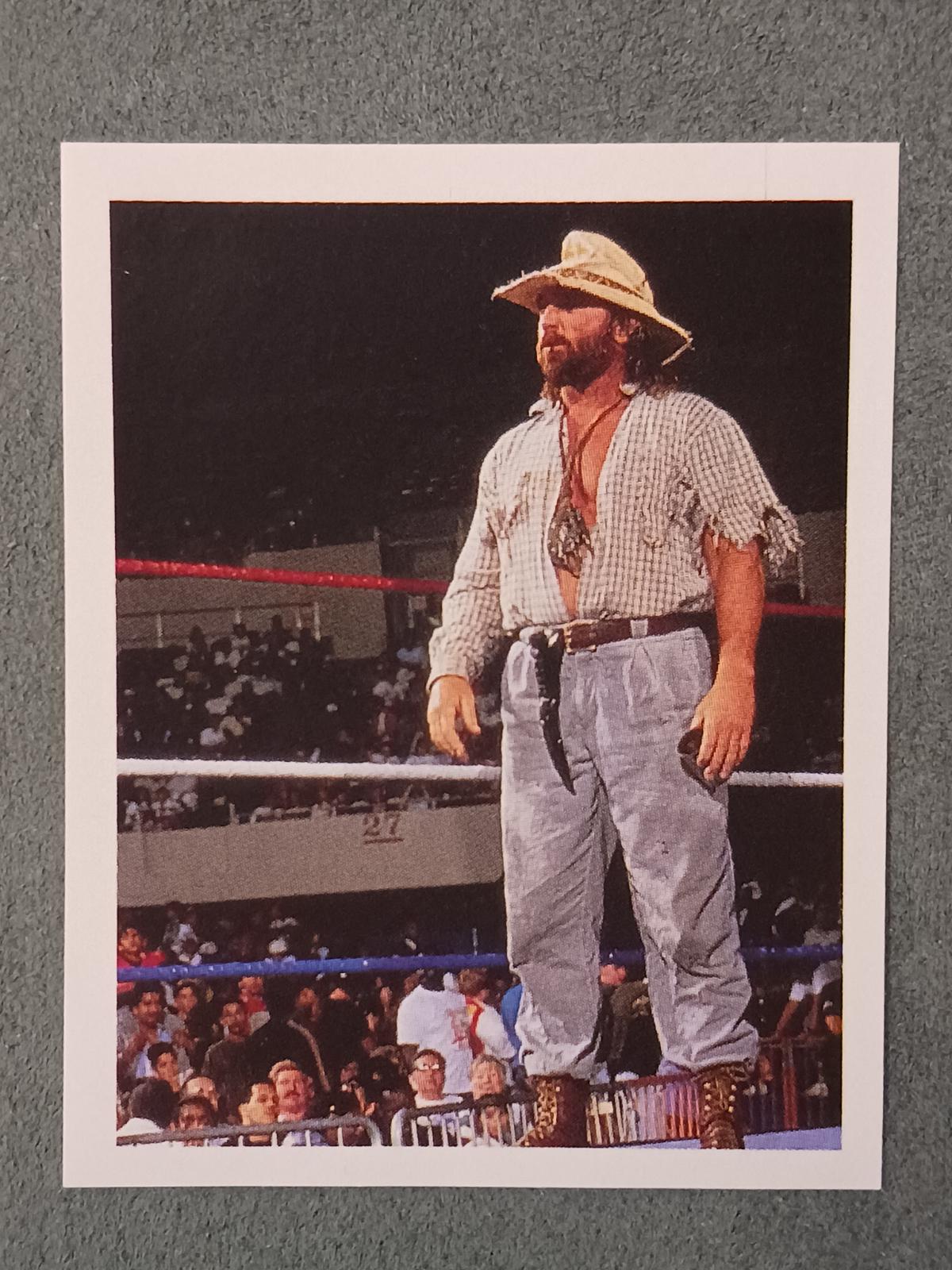 Skinner #104 Wrestling Cards 1992 Merlin WWF Stickers