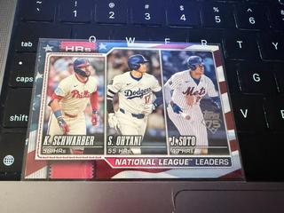 National League Leaders HRs