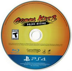 Disk - By Next Level Games | Cobra Kai 2: Dojos Rising Playstation 4
