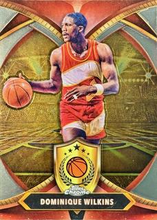 Dominique Wilkins