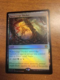 Razorverge Thicket