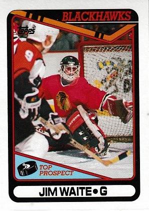Jim Waite #214 Hockey Cards 1990 Topps
